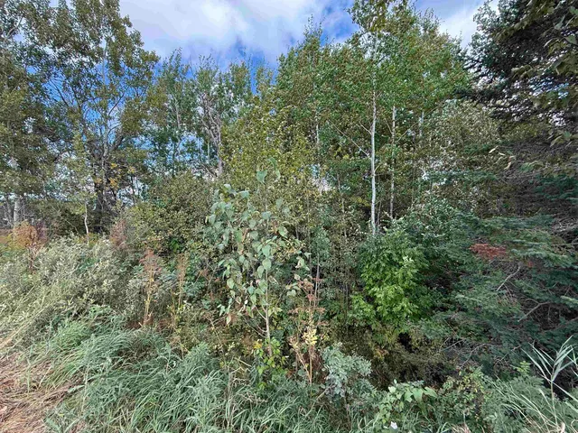 $139,900 | Tbd Tbd Itasca County, Wirt, MN 56688