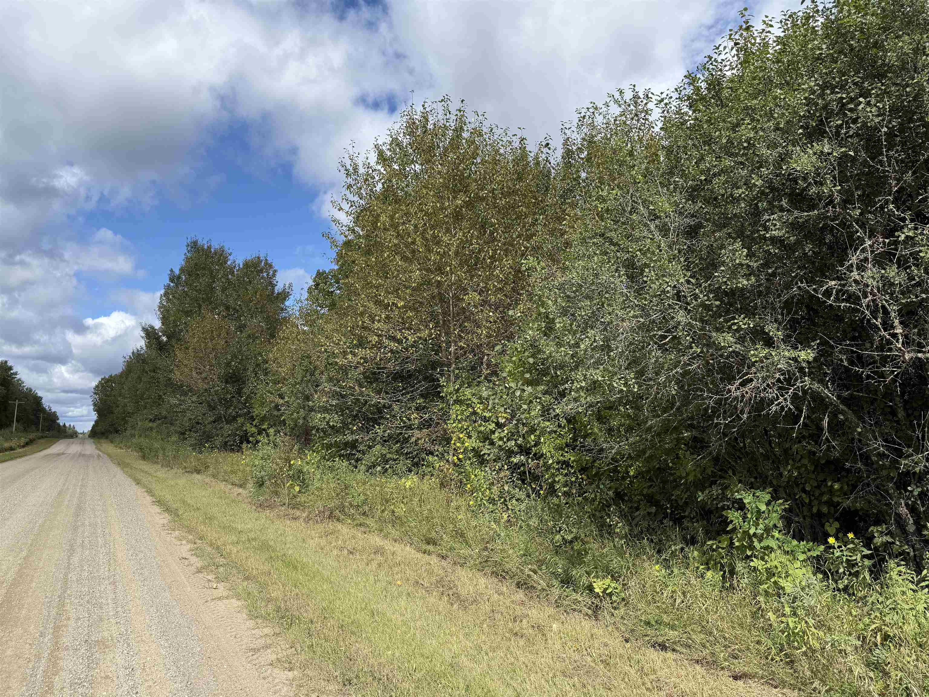 Tbd Tbd Itasca County Wirt, MN 56688 - Photo 14 of 20 View of road