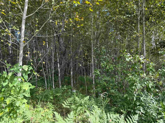 $139,900 | Tbd Tbd Itasca County, Wirt, MN 56688