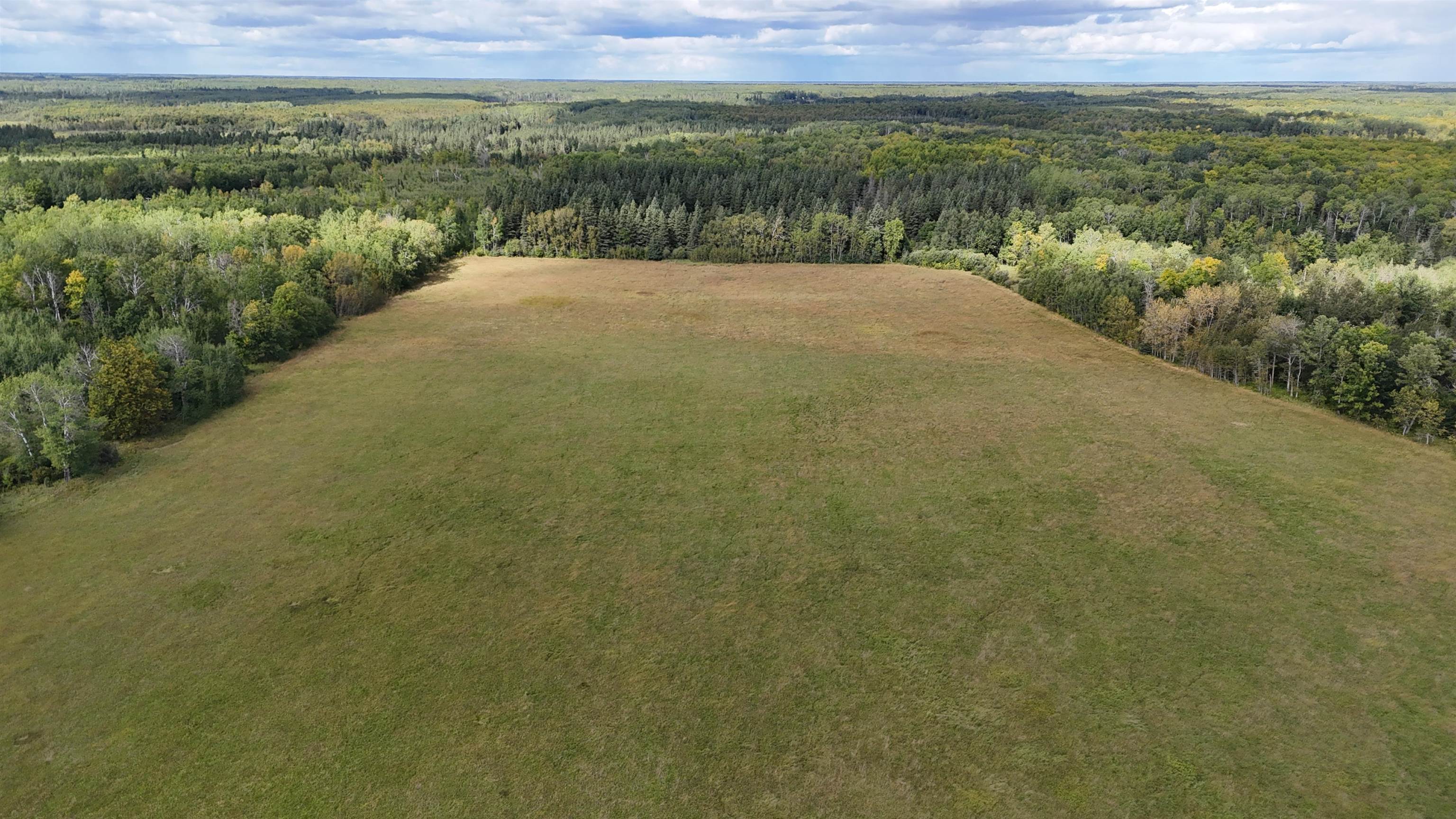 Tbd Tbd Itasca County Wirt, MN 56688 - Photo 18 of 20 Aerial view of a forest