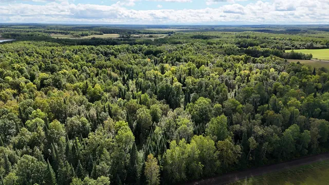 $139,900 | Tbd Tbd Itasca County, Wirt, MN 56688