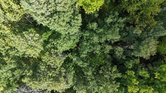 $139,900 | Tbd Tbd Itasca County, Wirt, MN 56688