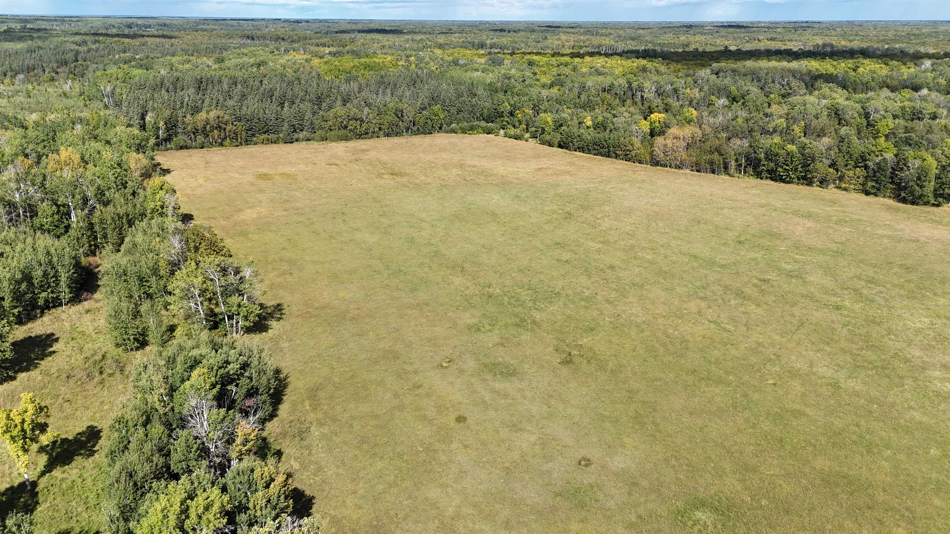 Tbd Tbd Itasca County Wirt, MN 56688 - Photo 7 of 20 Bird's eye view of a heavily wooded area