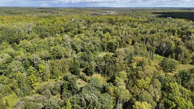 $139,900 | Tbd Tbd Itasca County, Wirt, MN 56688
