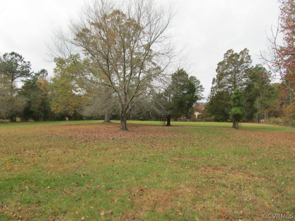 9011 Beach Road Chesterfield, VA 23838 - Photo 5 of 16 a view of a field with trees