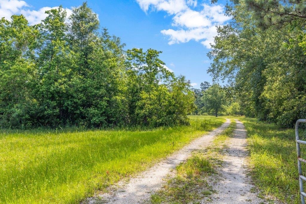 136 Bob Long Road Ragley, LA 70657 - Photo 4 of 6