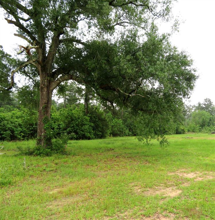 136 Bob Long Road Ragley, LA 70657 - Photo 5 of 6