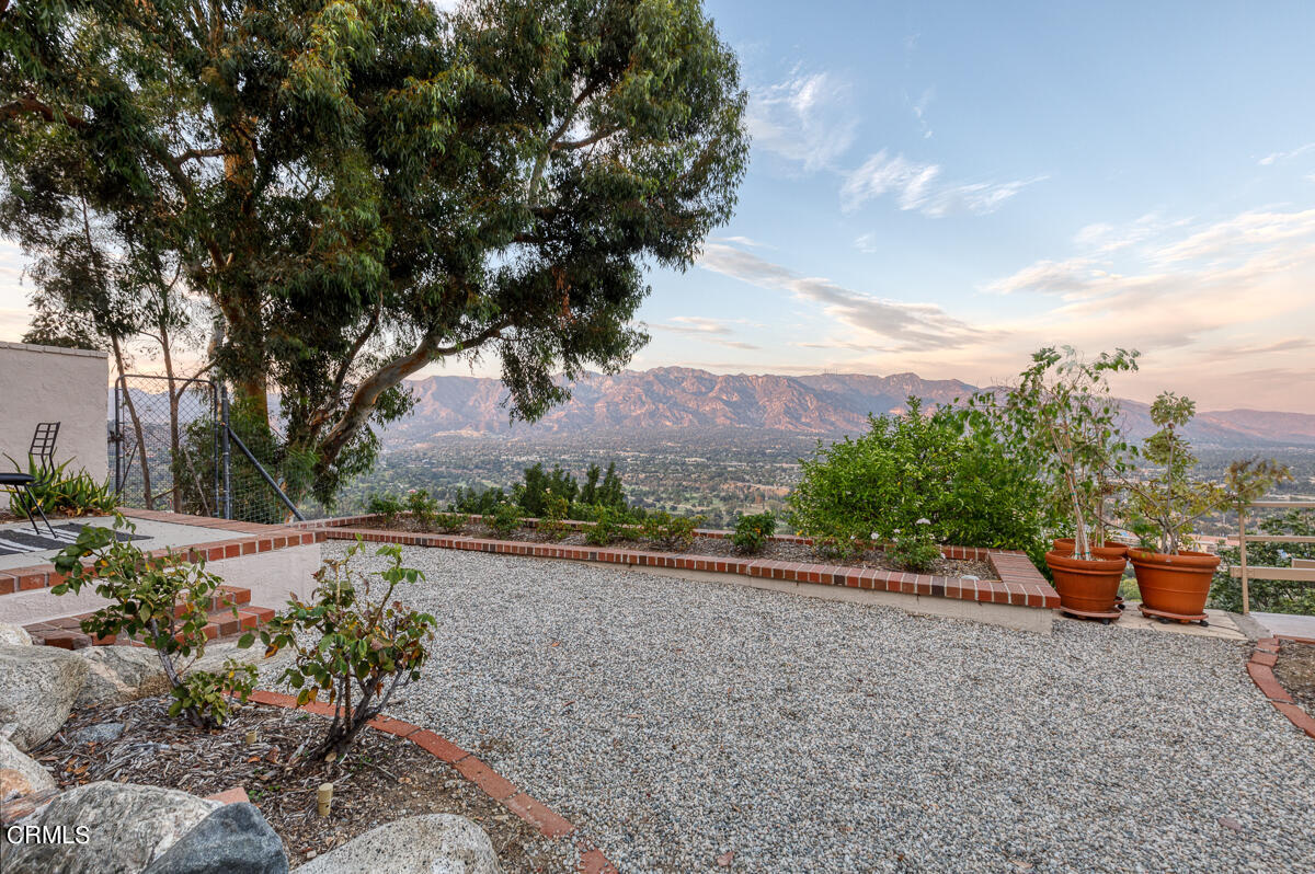 775 Panorama Place Pasadena, CA 91105 - Photo 51 of 62 a view of a backyard