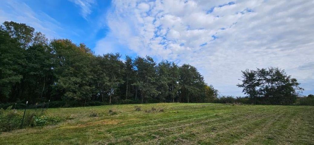 0 Lemon Road Bancroft, MI 48414 - Photo 9 of 16 Gallery Image 9