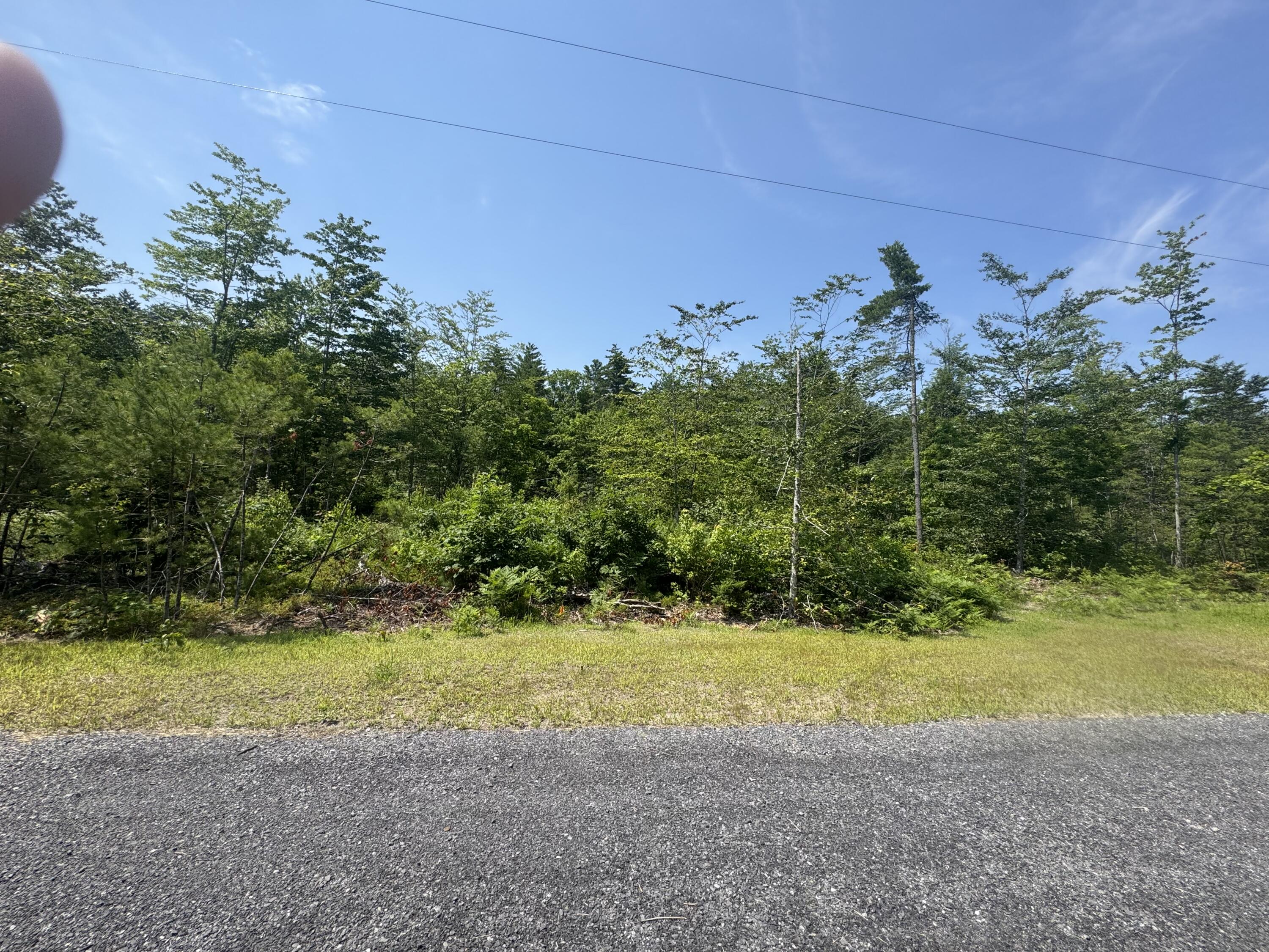 Lot 1 Young's Way Standish, ME 04084 - Photo 4 of 6 IMG_4850