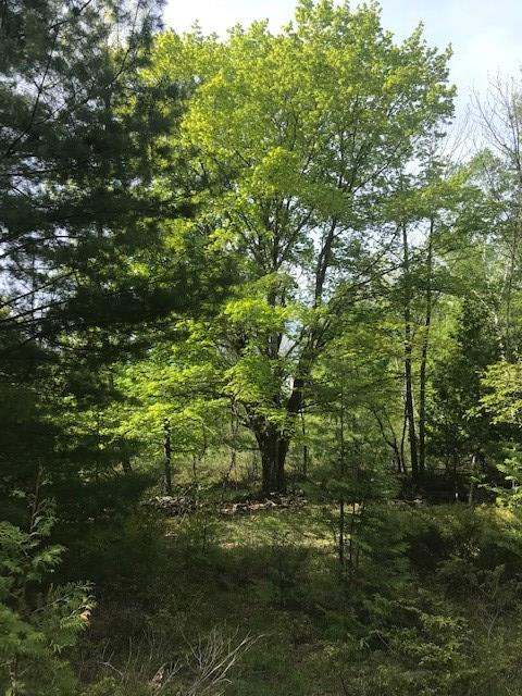 Lot 1 West Meadow Road Fish Creek, WI 54212 - Photo 21 of 33 Gallery Image 21