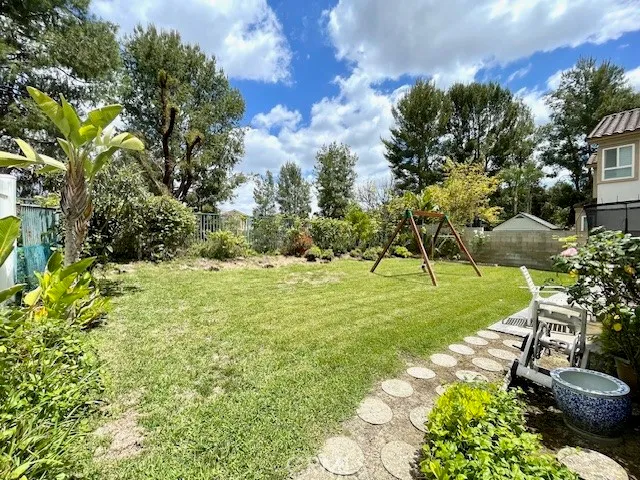 a view of a garden with plants