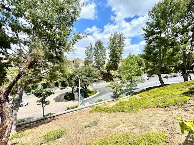 a view of a yard with large trees