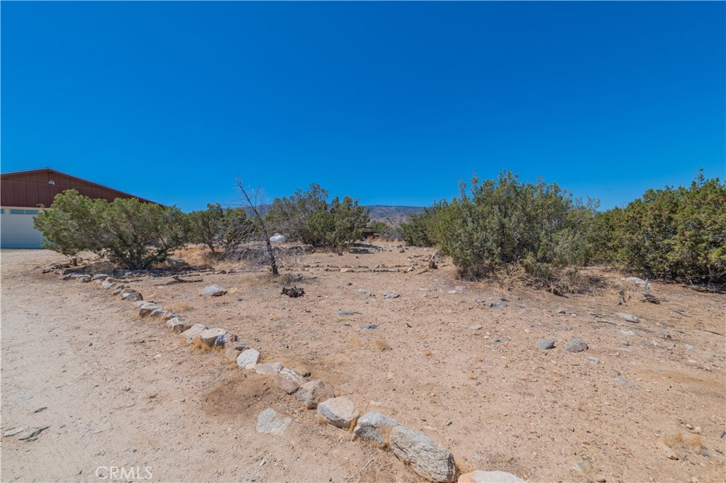 1181 Barkley Ranch Road Pinon Hills, CA 92372 - Photo 13 of 37 a view of a dry yard with trees