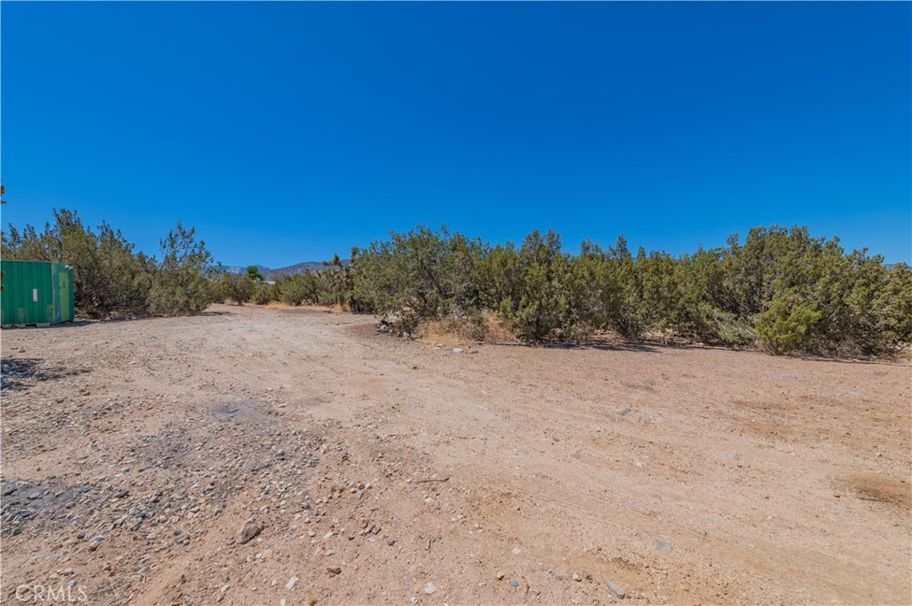 1181 Barkley Ranch Road Pinon Hills, CA 92372 - Photo 8 of 37 a view of a dry yard with trees in the background