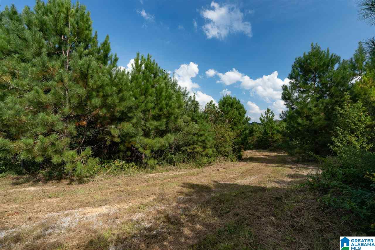 8967 Highway 55, Unit 2 & 3 Sterrett, AL 35147 - Photo 19 of 23