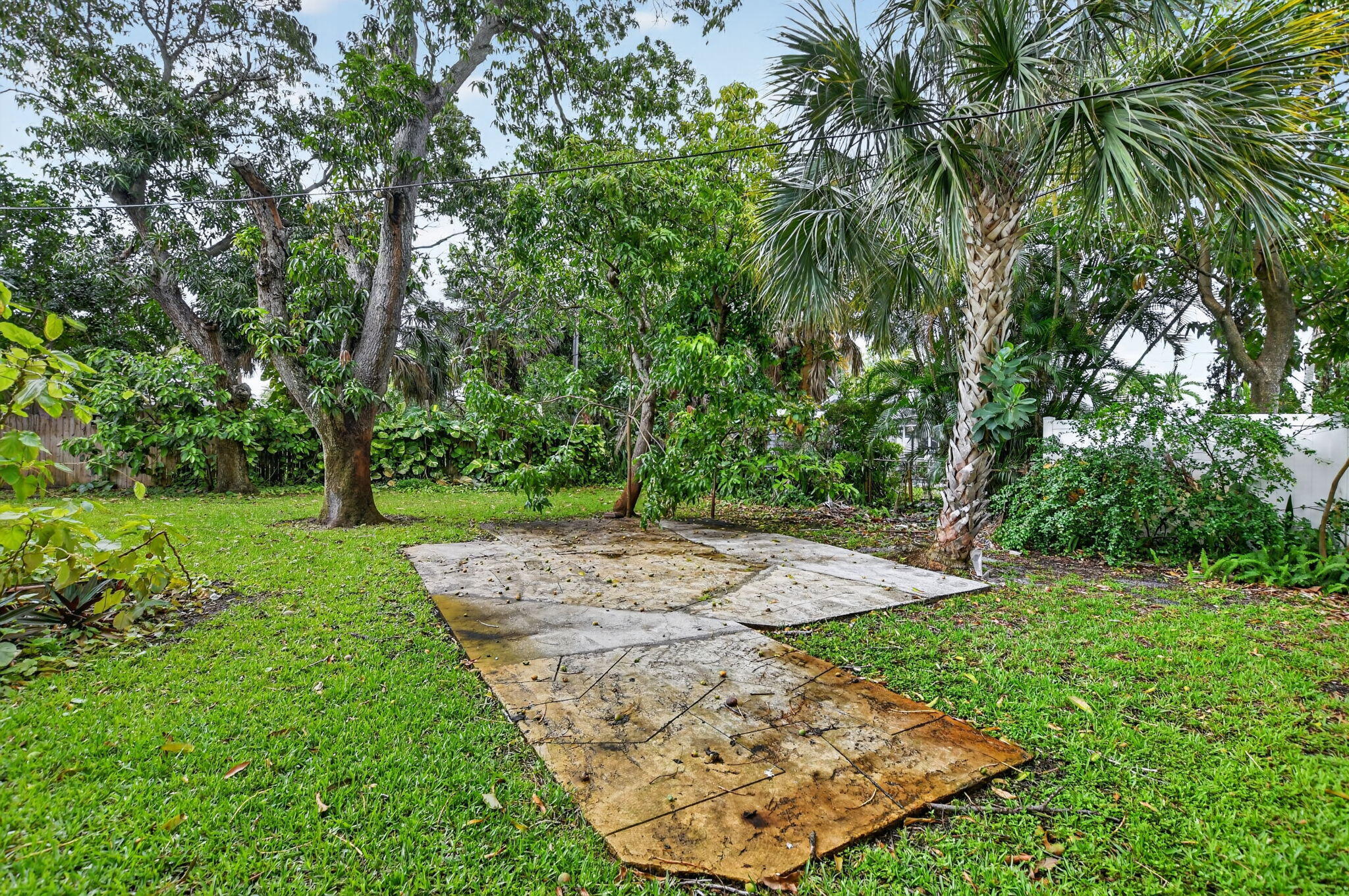 314 Southwest 1st Street Boca Raton, FL 33432 - Photo 13 of 32 24-web-or-mls-DSC_2370