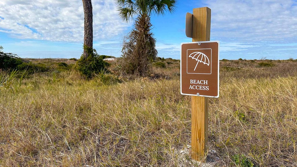 1949 Backwater Road Port St. Joe, FL 32456 - Photo 44 of 59