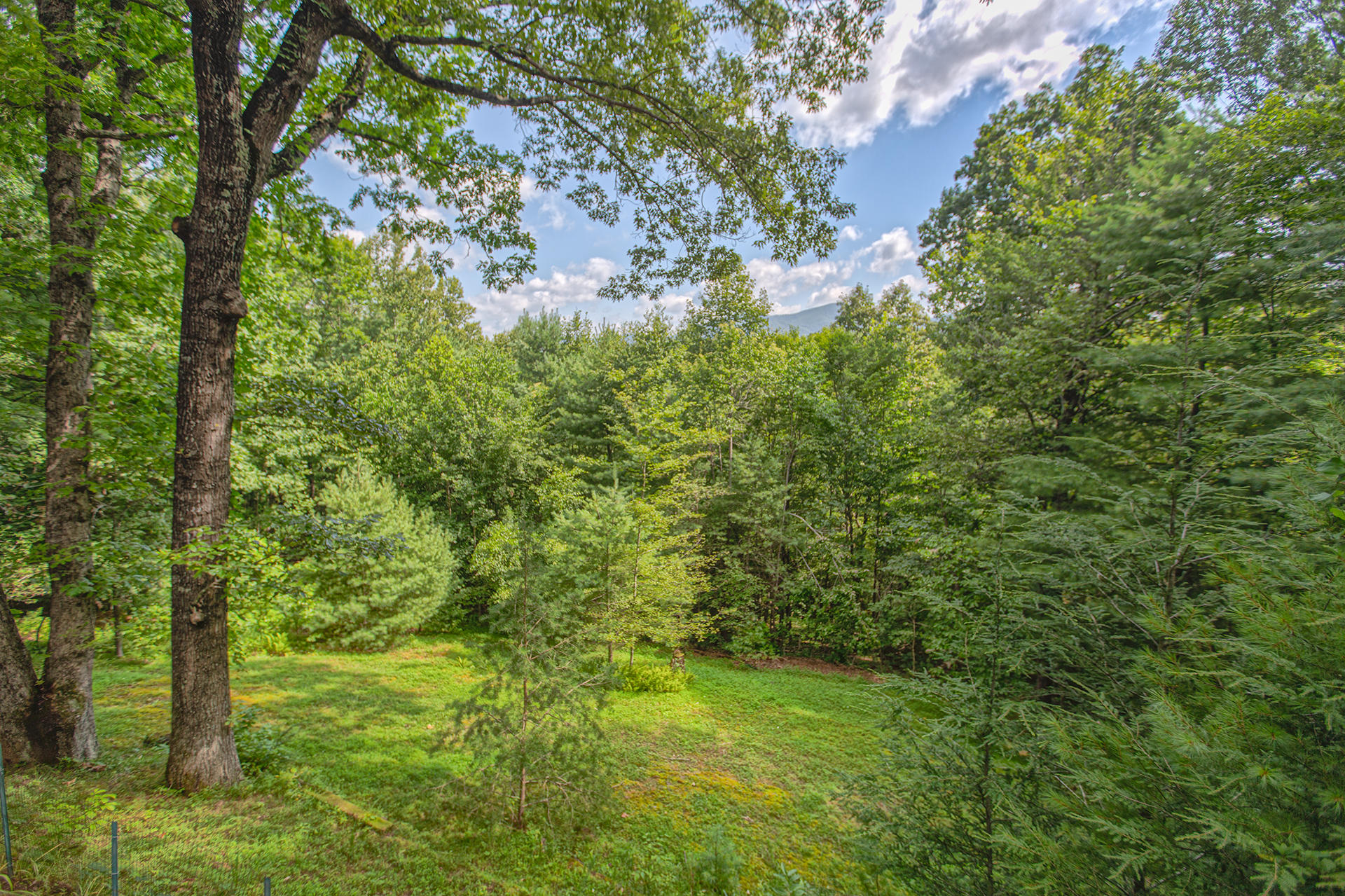 525 Middle Ridge Drive Callaway, VA 24067 - Photo 22 of 40 24