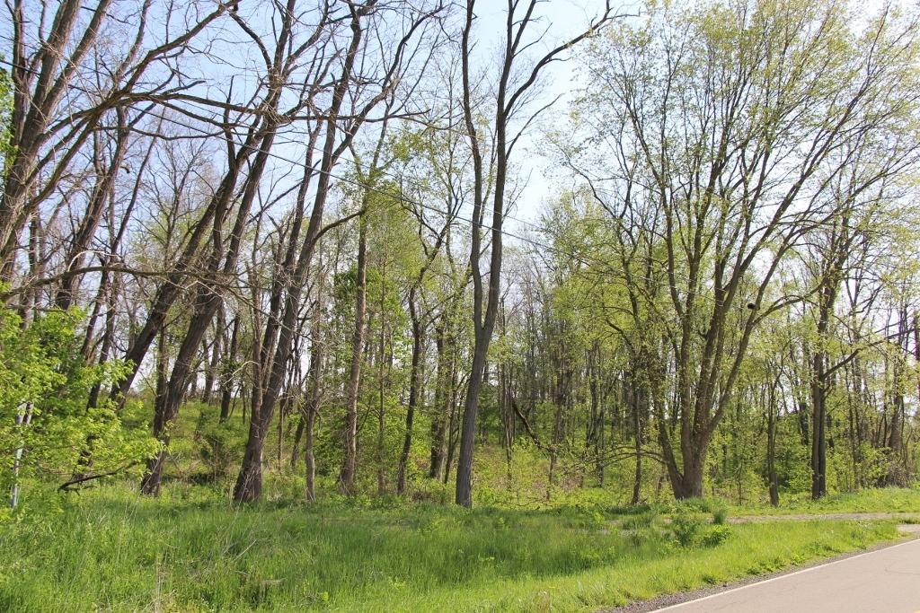 5598 Raccoon Valley Road Alexandria, OH 43001 - Photo 3 of 8 Gallery Image 3