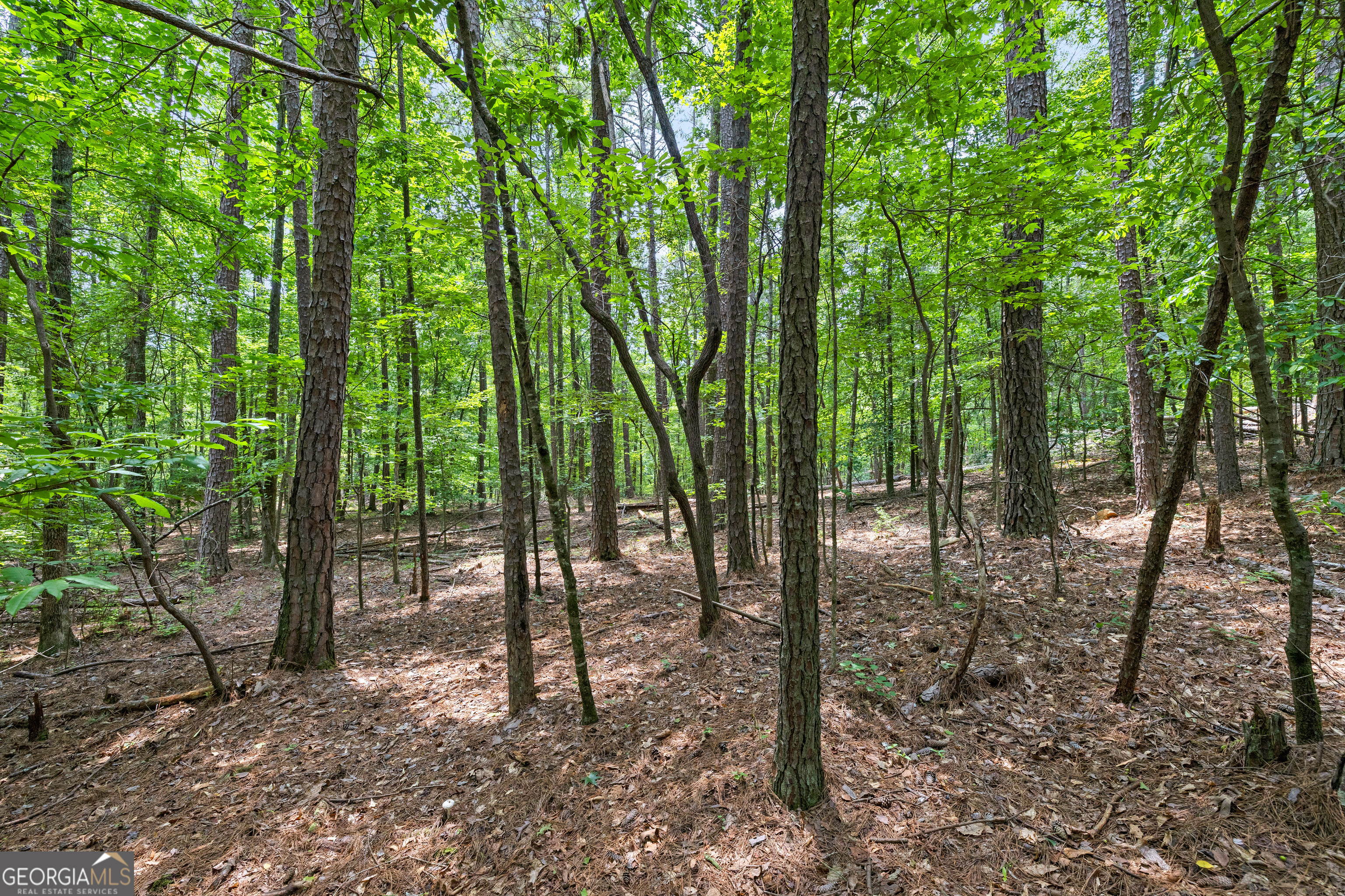 0 Terry Road Fairburn, GA 30213 - Photo 14 of 22