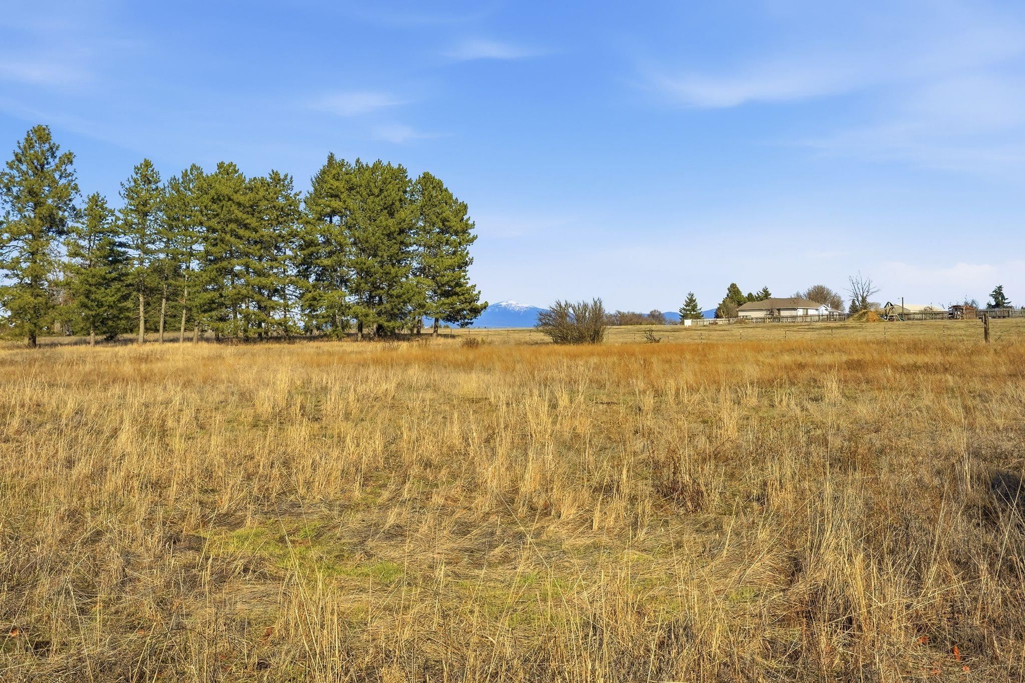 10001 East Bigelow Gulch Road Spokane, WA 99217 - Photo 34 of 47