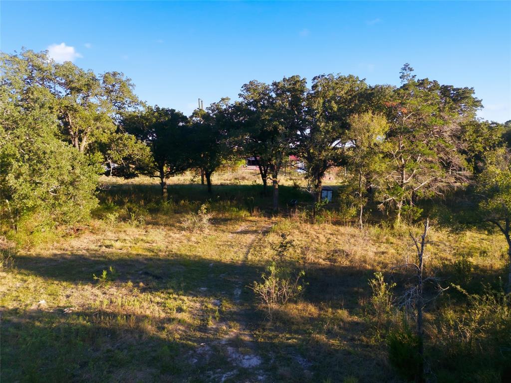 Tbd Tbd Fm-147 Marlin, TX 76661 - Photo 6 of 6 View of local wilderness