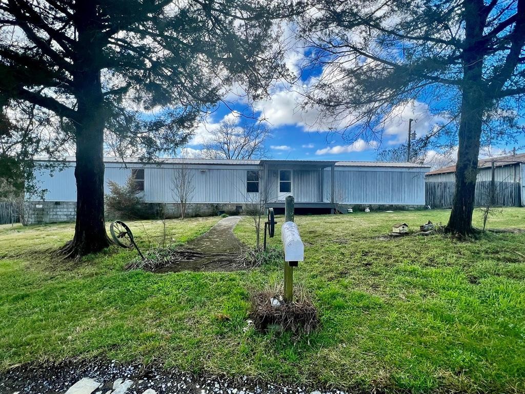 a view of a garden with a tree