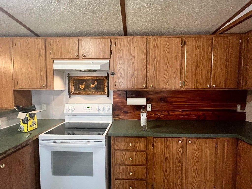 1148 Keith Valley Road Southeast Cleveland, TN 37323 - Photo 16 of 39 a kitchen with a stove and a microwave