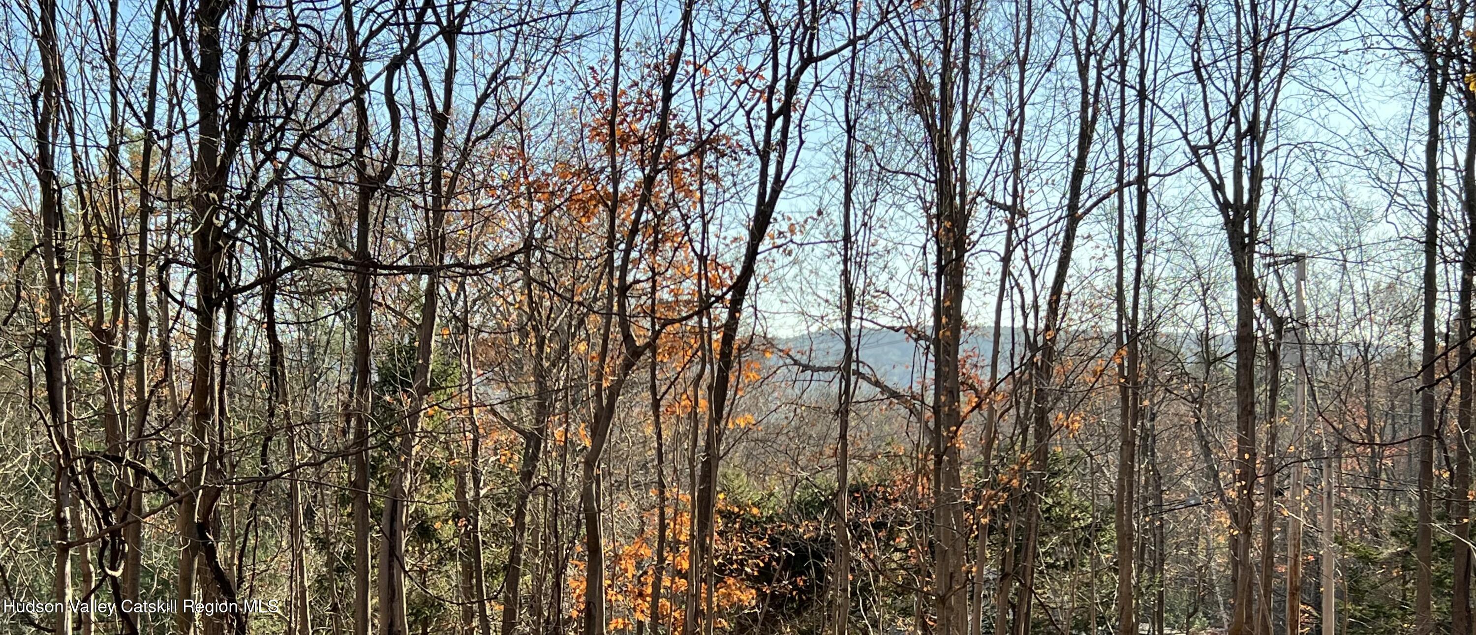 72 Meads Mountain Road, Unit 5 Woodstock, NY 12498 - Photo 16 of 20 seasonal mountain view