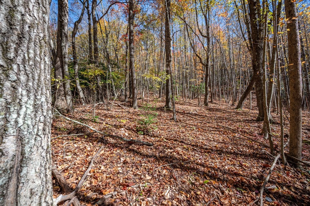 897 Phadettia Road Southwest Willis, VA 24380 - Photo 11 of 21 Gallery Image 11