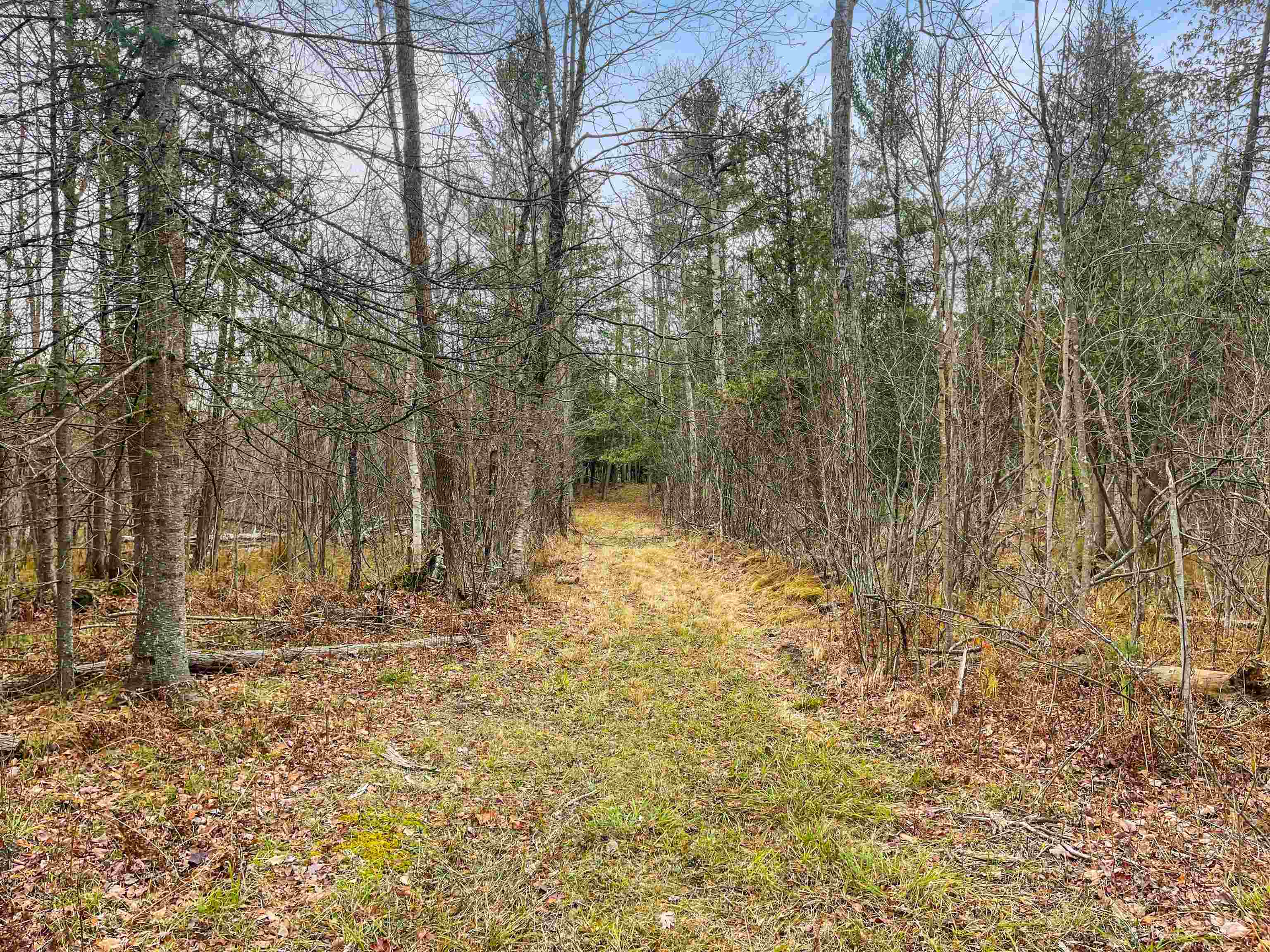 11716 East 12 Road Manton, MI 49663 - Photo 46 of 60 1906601-45.JPG