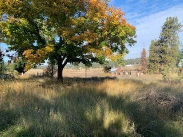 3303 North Old Trails Road Spokane, WA 99224 - Photo 5 of 16