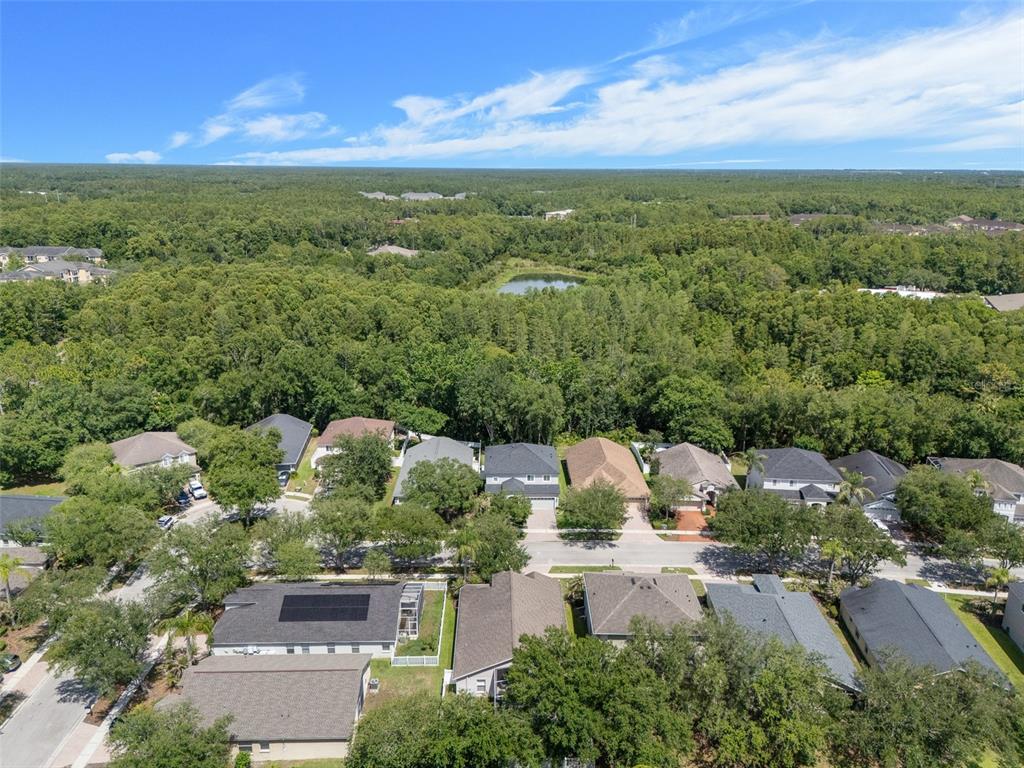 16230 Nottingham Road Tampa, FL 33647 - Photo 50 of 58 Gallery Image 50
