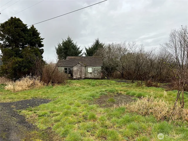 a view of a big yard with potted plants and large tree