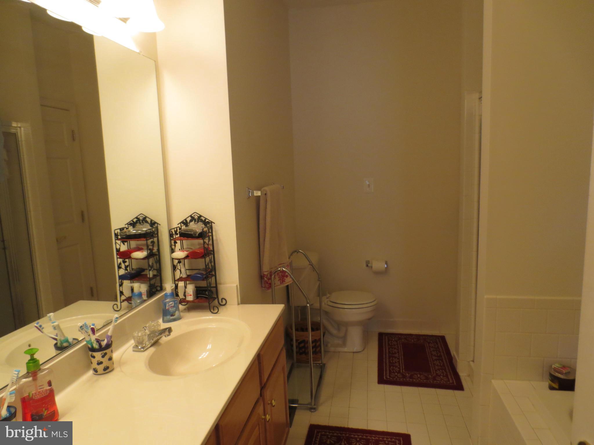 115 Tredmore Road Bel Air, MD 21015 - Photo 17 of 29 Bath (Master) Separate tub and shower