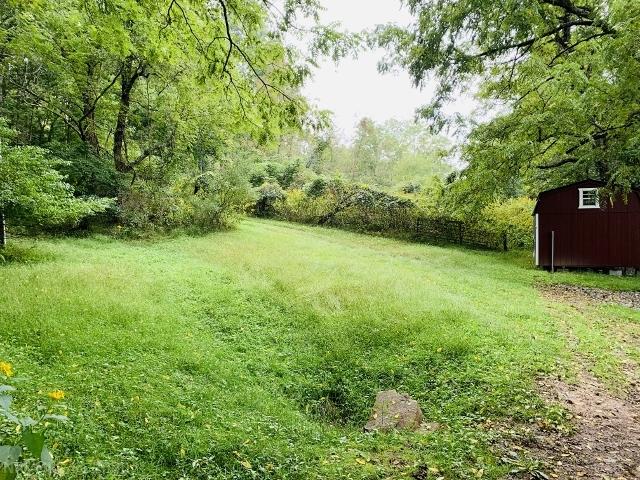 2091 Springdale Road Pearisburg, VA 24134 - Photo 4 of 45 Gallery Image 4