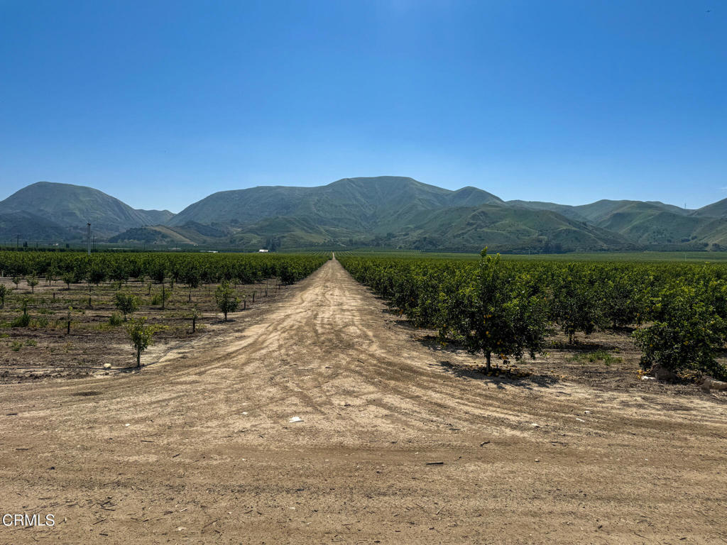 2417 South Mountain Road Fillmore, CA 93015 - Photo 18 of 23 IMG_0413