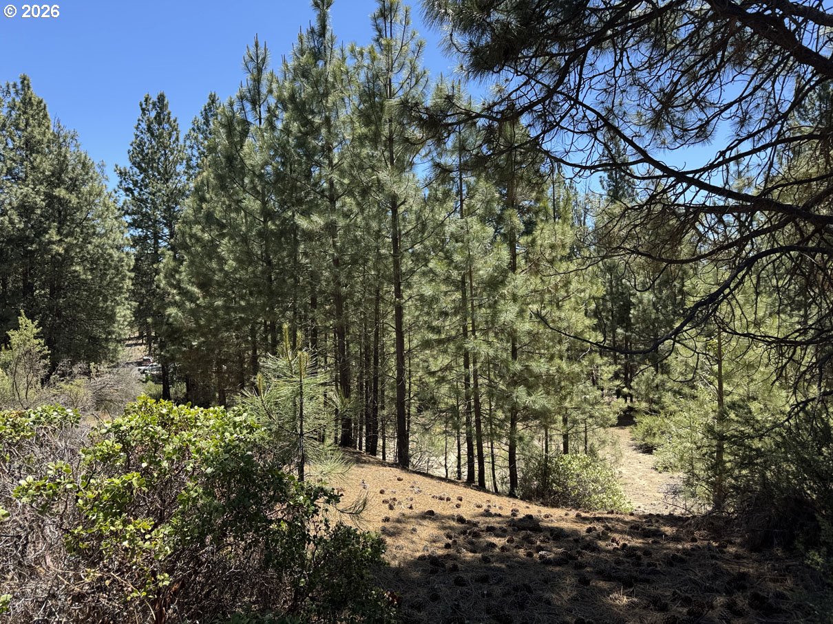Friendship Drive, Unit 12 Chiloquin, OR 97624 - Photo 1 of 28