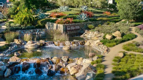 a front view of a building with potted plants