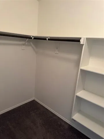 a close view of backyard