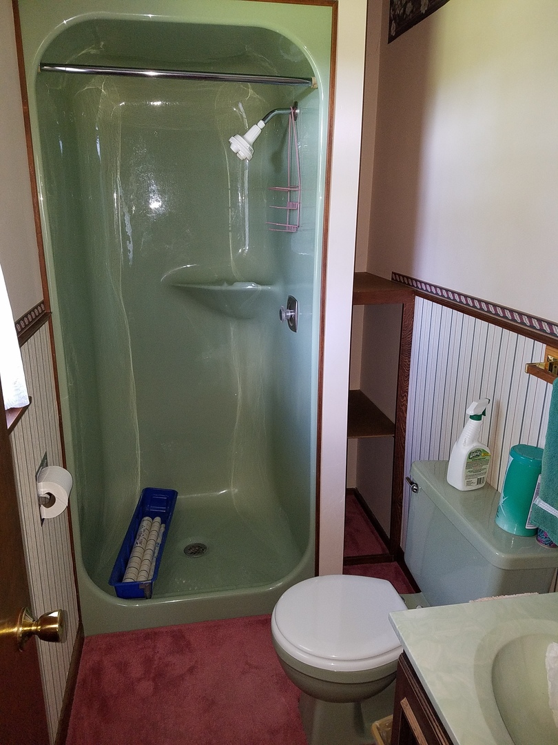 10730 East Fowler Road Rochelle, IL 61068 - Photo 12 of 37 a bathroom with a toilet and a shower
