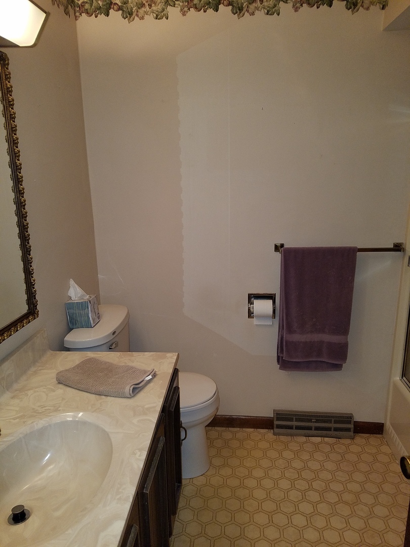 10730 East Fowler Road Rochelle, IL 61068 - Photo 13 of 37 a bathroom with a sink and a toilet