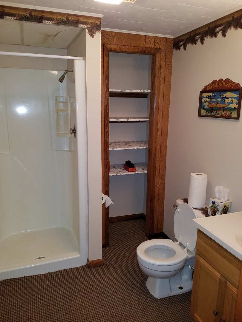 10730 East Fowler Road Rochelle, IL 61068 - Photo 20 of 37 a bathroom with a toilet and a shower