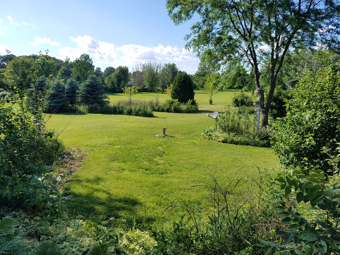 10730 East Fowler Road Rochelle, IL 61068 - Photo 24 of 37 a view of outdoor space with deck and green space
