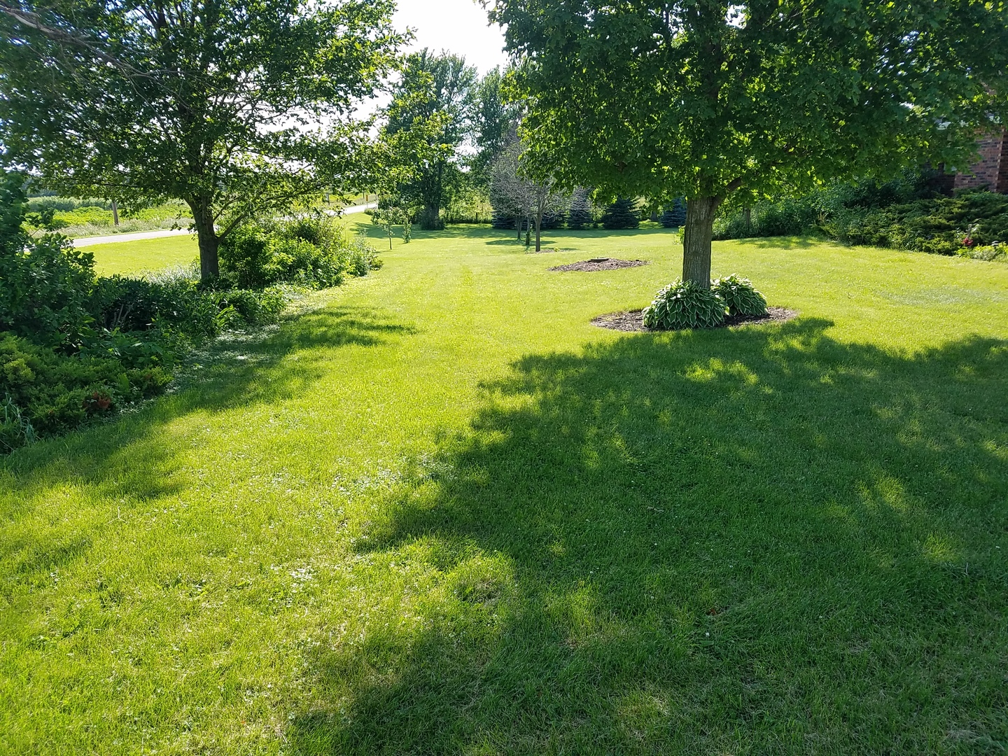 10730 East Fowler Road Rochelle, IL 61068 - Photo 34 of 37 a view of a yard with a tree