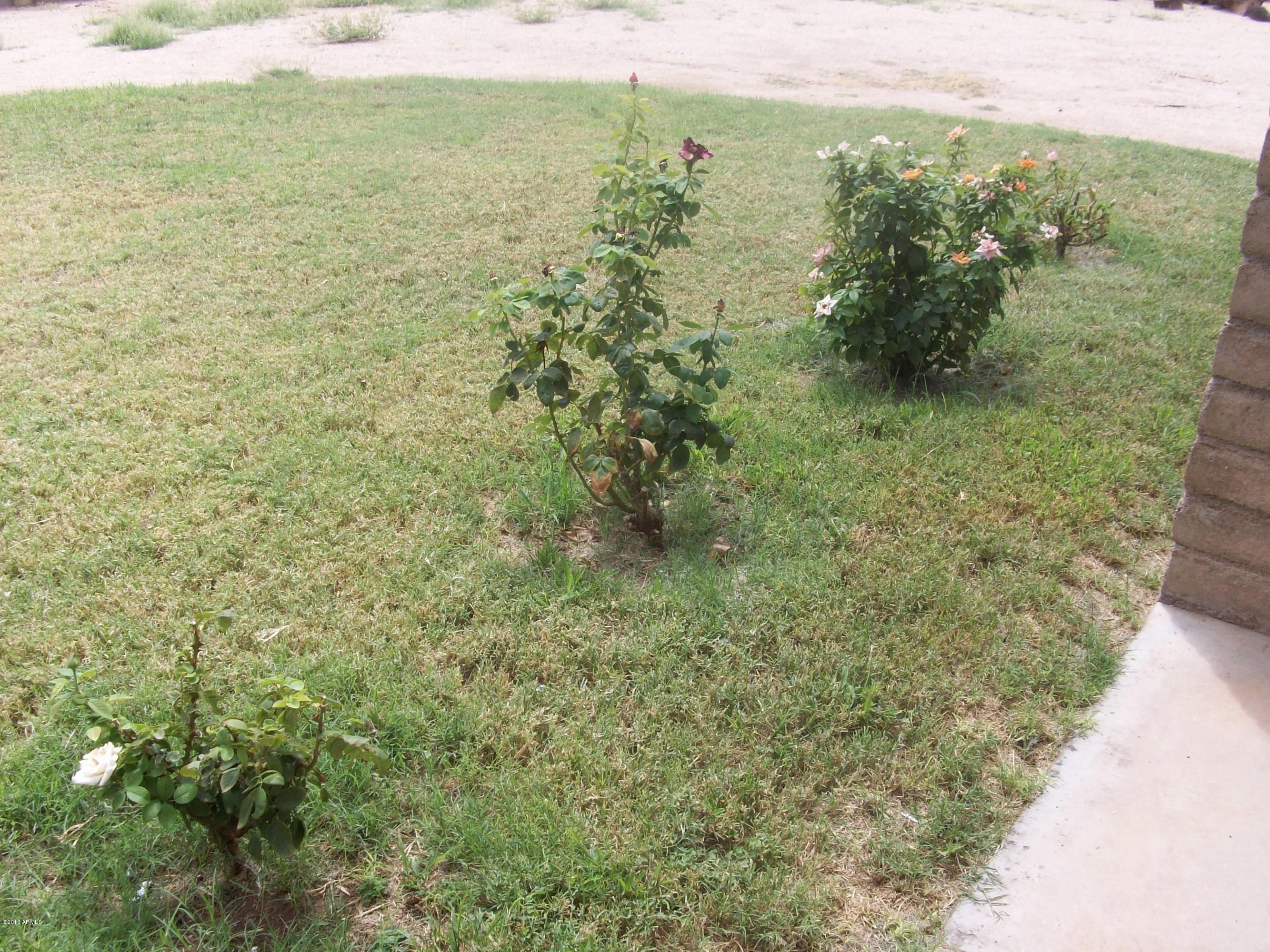 1724 West Utopia Road Phoenix, AZ 85027 - Photo 21 of 22 Roses