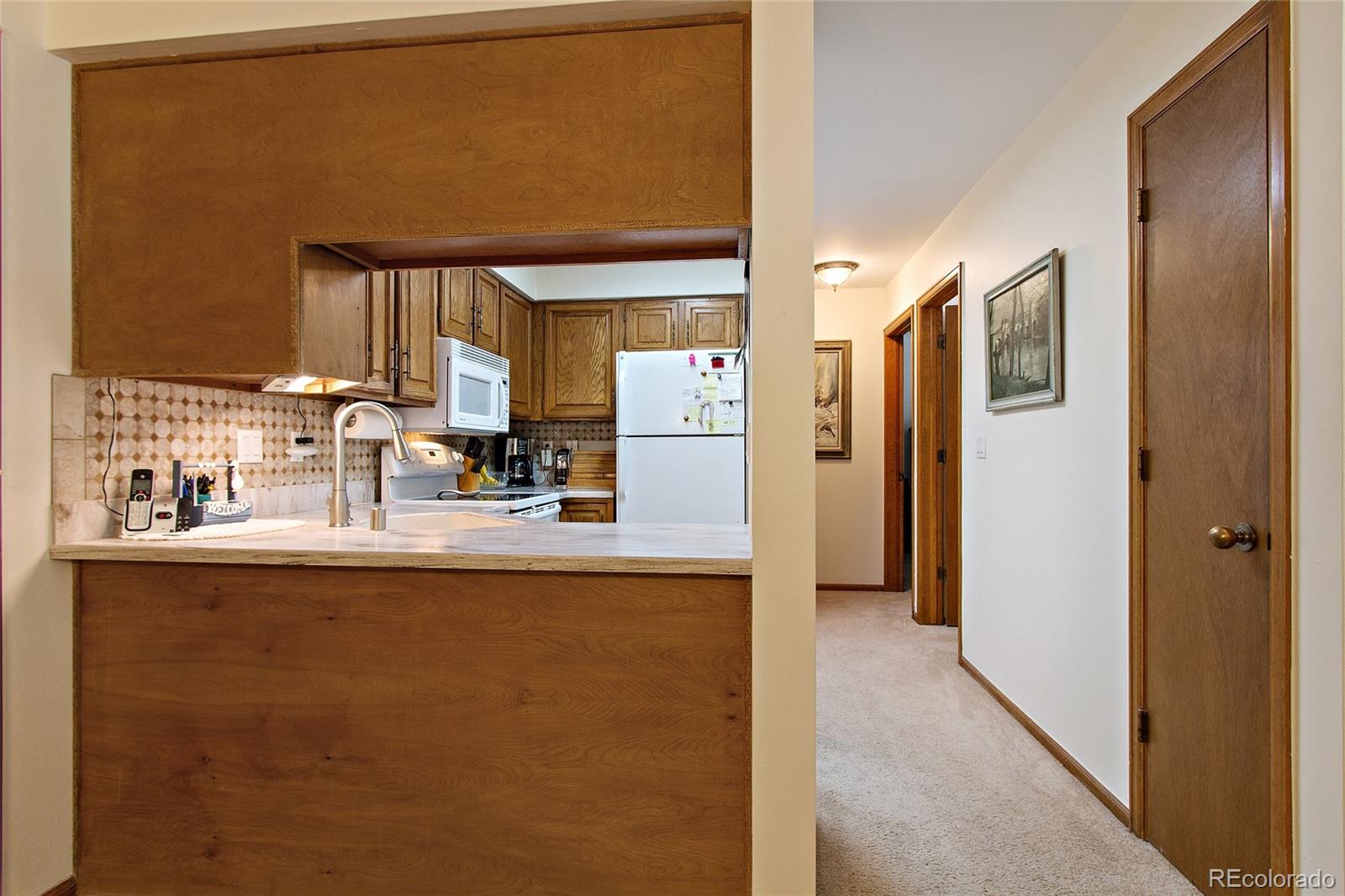 31270 John Wallace Road, Unit 208 Evergreen, CO 80439 - Photo 14 of 25 Gallery Image 14