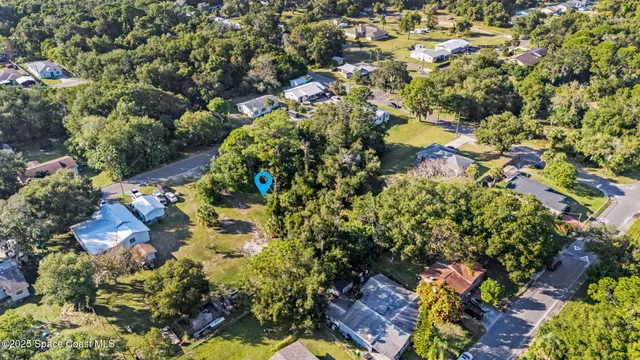 a picture of flowers