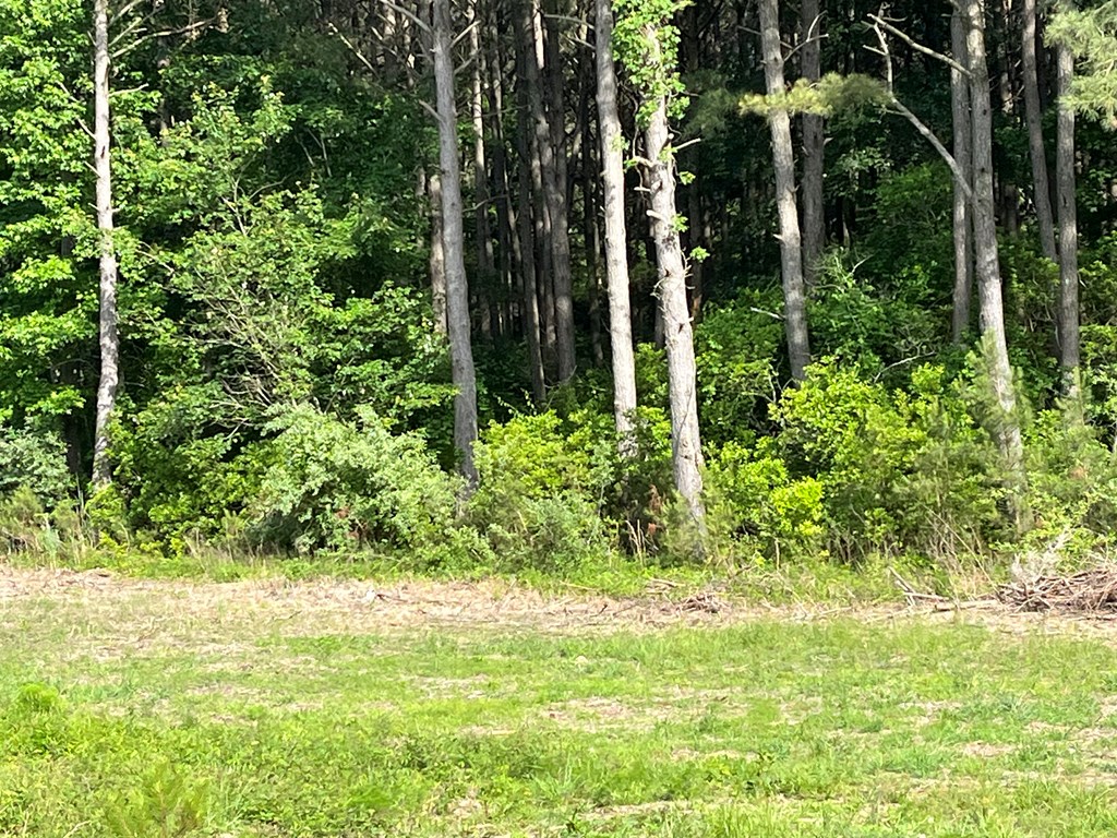 N/a Chincoteague Road Wallops Island, VA 23337 - Photo 5 of 27